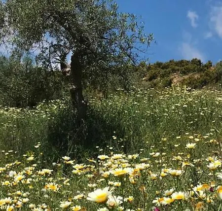 Garden Apartment, Cortijo Fruitful Hills