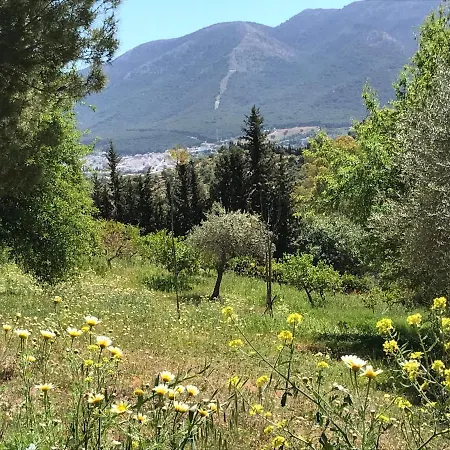 Garden Apartment, Cortijo Fruitful Hills *