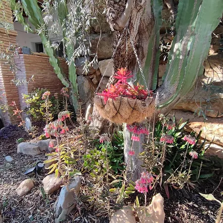 Appartement Garden Apartment, Cortijo Fruitful Hills Coín