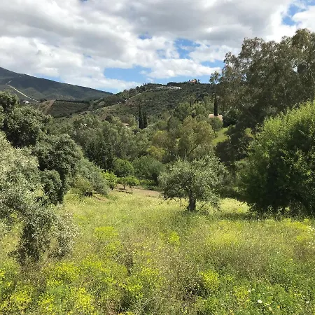Garden Apartment, Cortijo Fruitful Hills *