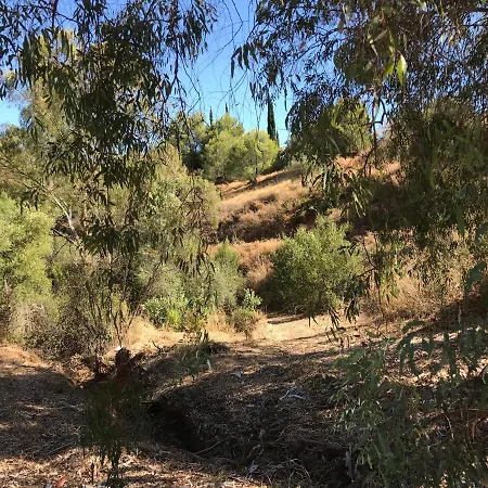 Garden Apartment, Cortijo Fruitful Hills * Coin