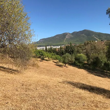 Garden Apartment, Cortijo Fruitful Hills