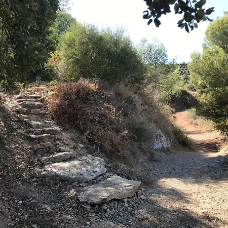Garden Apartment, Cortijo Fruitful Hills *
