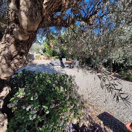 Garden Apartment, Cortijo Fruitful Hills Apartamento